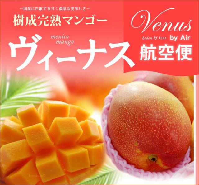 ヴィーナスマンゴー販売/通販