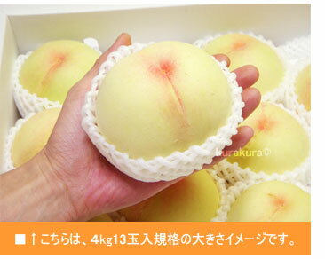 清水白桃4kg-13玉入の大きさ目安