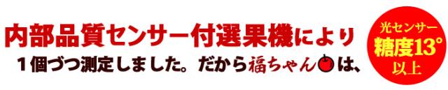 科学の目で高糖度リンゴを測定