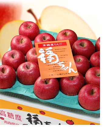 福ちゃん高糖度リンゴの案内用紙付き