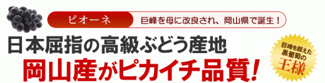 岡山産ピオーネについて