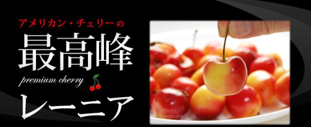 最高峰レーニア（レイニア）チェリー