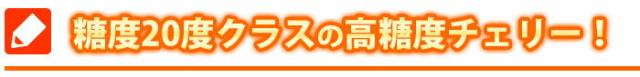 レーニアは高糖度品種のチェリー