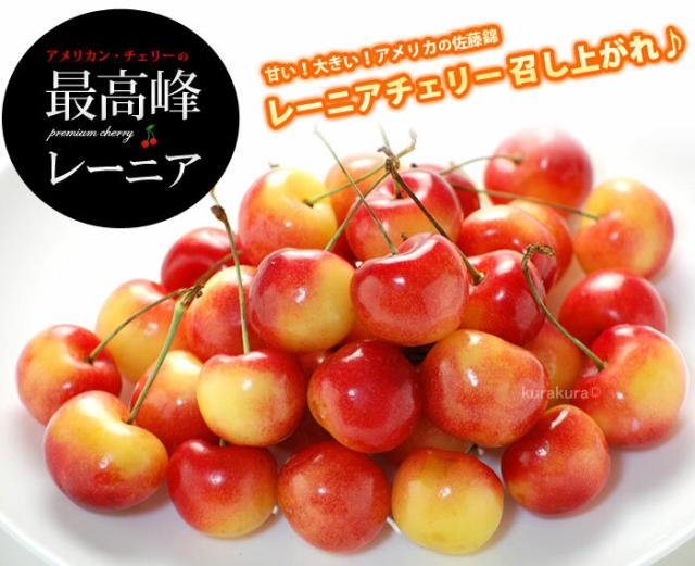 甘い！大きいレーニア召し上がれ