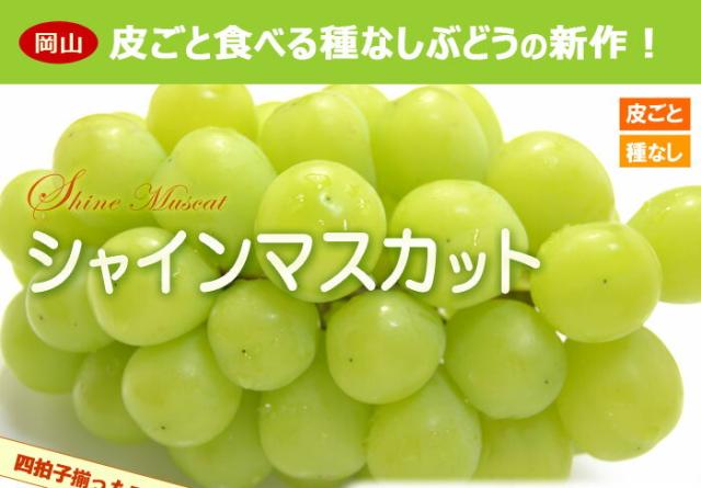 シャインマスカットとは?