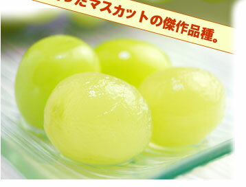 ポリポリ♪皮ごと食べる新作ぶどう