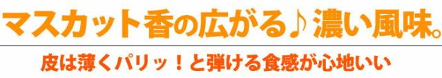 シャインマスカットは甘く濃い味