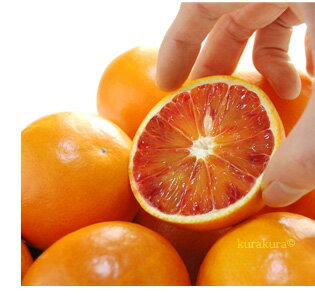 アントシアニン豊富なブラッドオレンジ