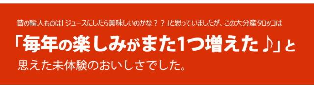 毎年の楽しみ大分タロッコオレンジ