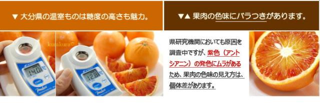 大分タロッコは高糖度