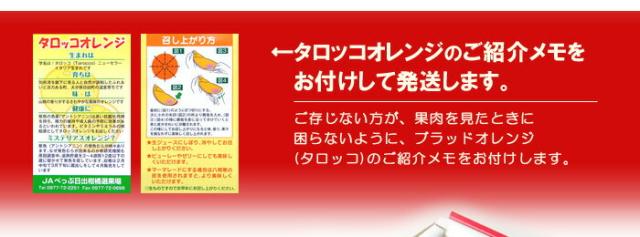 タロッコオレンジの紹介メモお付けします