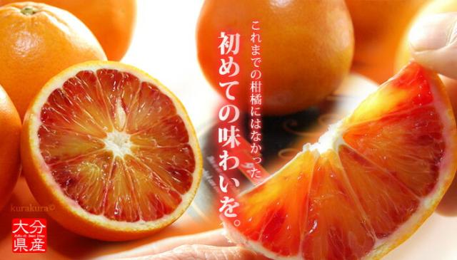 大分の国産タロッコ(ブラッドオレンジ)を体験