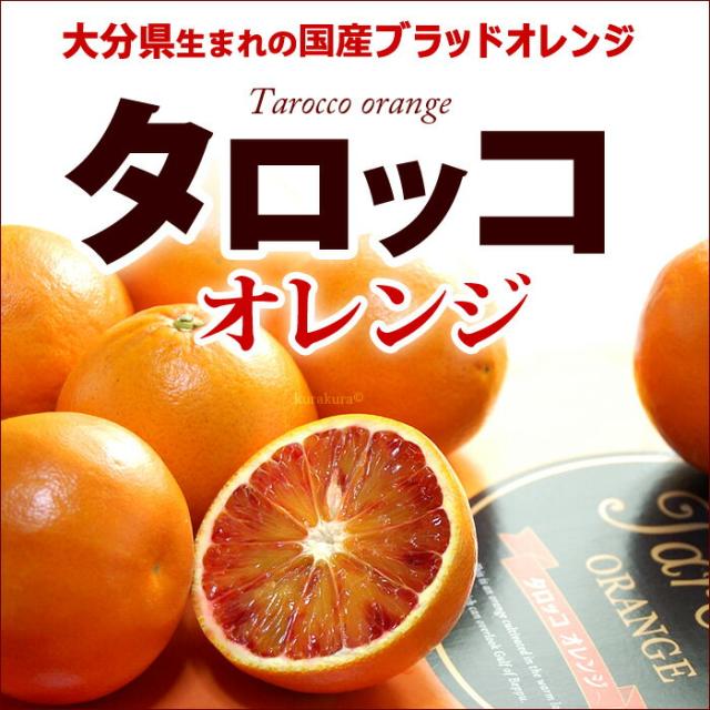タロッコオレンジ販売/通販