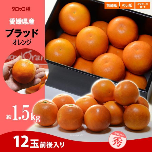 ブラッドオレンジ（愛媛県産）1.5kg販売の詳細