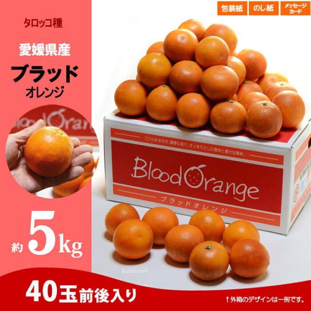 ブラッドオレンジ（愛媛県産）5kg販売の詳細