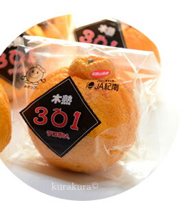 木熟301デコポンとは?