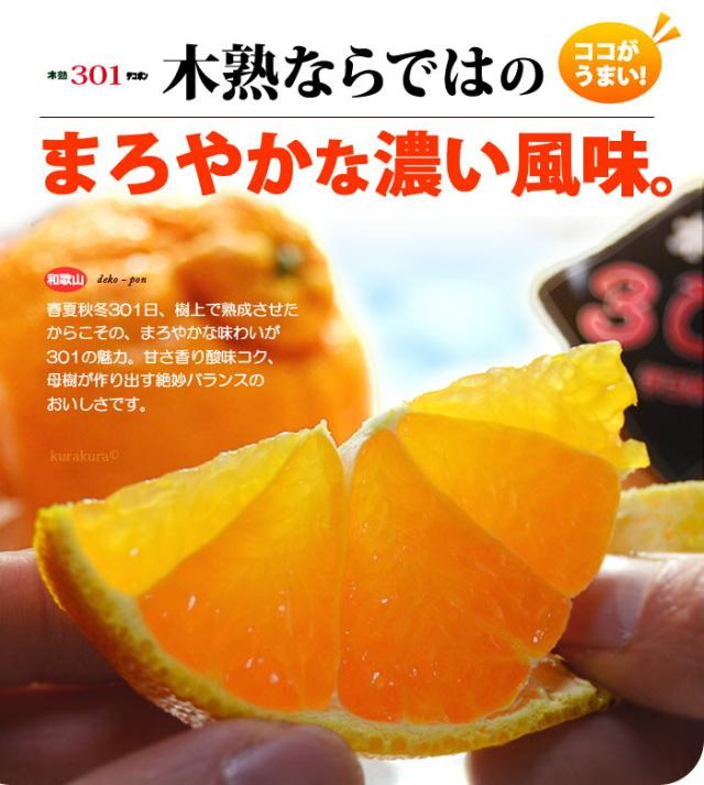 木熟ならではのデコポン