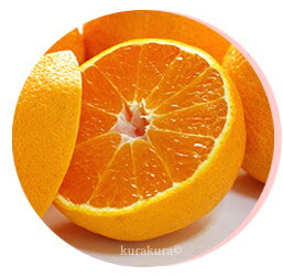 木熟のまろやかな濃い風味