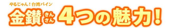 金鑚パイン4つの魅力！