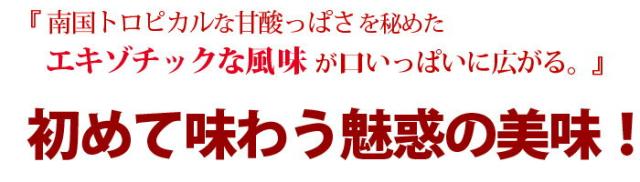 初めて味わう魅惑の美味！