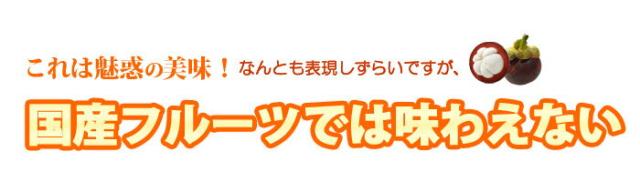 国産フルーツでは味わえない