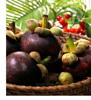 南国フルーツは高糖度