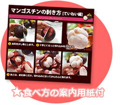 マンゴスチンの食べ方案内用紙付き