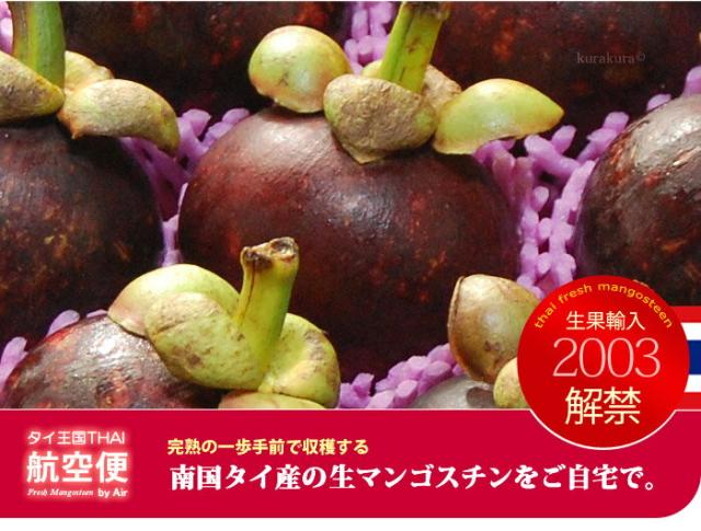 フレッシュマンゴスチンご自宅で