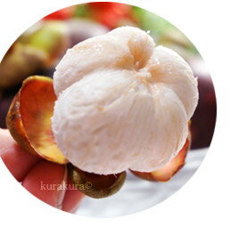 生マンゴスチンはトロける美味