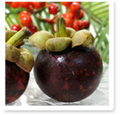 世界三大美果の1つマンゴスチン