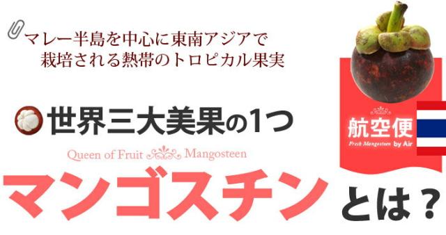 マンゴスチンとは？