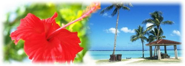 南国トロピカル風景イメージ