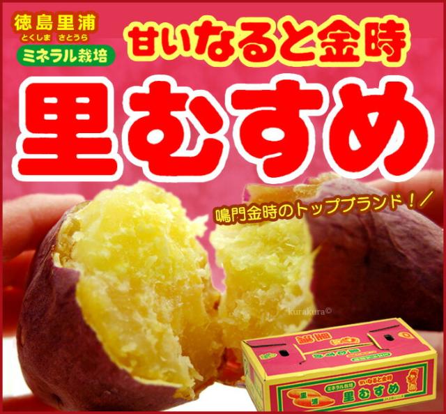 里むすめ（なると金時）販売/通販