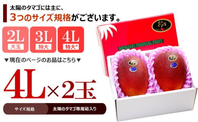 太陽のタマゴ4L2玉の販売ページ