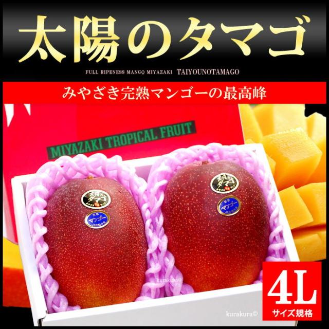 太陽のタマゴ4L（2玉）販売/通販