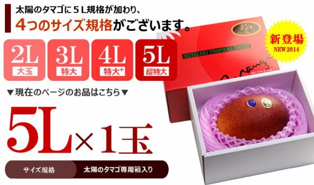 太陽のタマゴ5L1玉の販売ページ