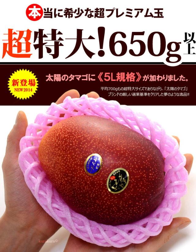 太陽のタマゴ5l規格