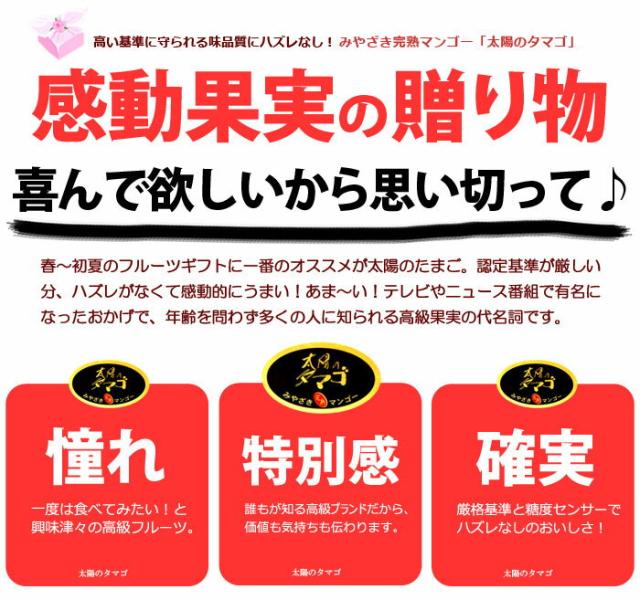 感動果実の贈り物