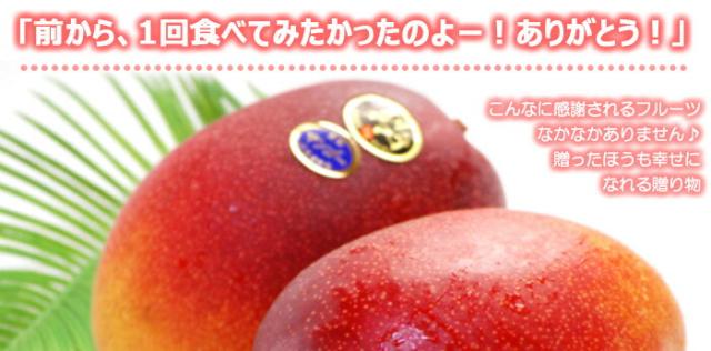 完熟マンゴーの王様！太陽のタマゴ