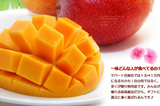 太陽のタマゴ濃厚な果肉