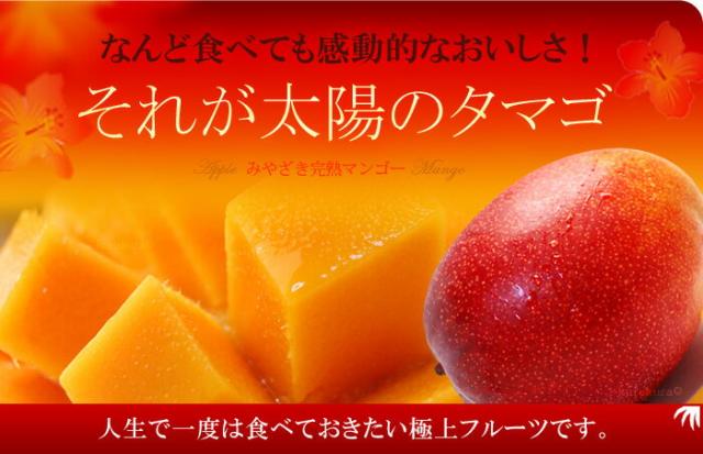 何度でも感動！太陽のタマゴ