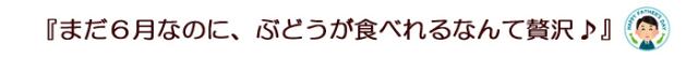 6月なのにブドウが食べれる贅沢