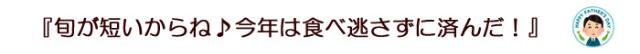 旬が短いサクランボを逃さずに