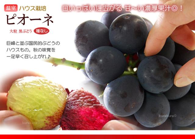 詰め合わせ品目_ピオーネ
