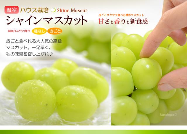 詰め合わせ品目_シャインマスカット