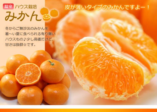詰め合わせ品目_ハウスみかん
