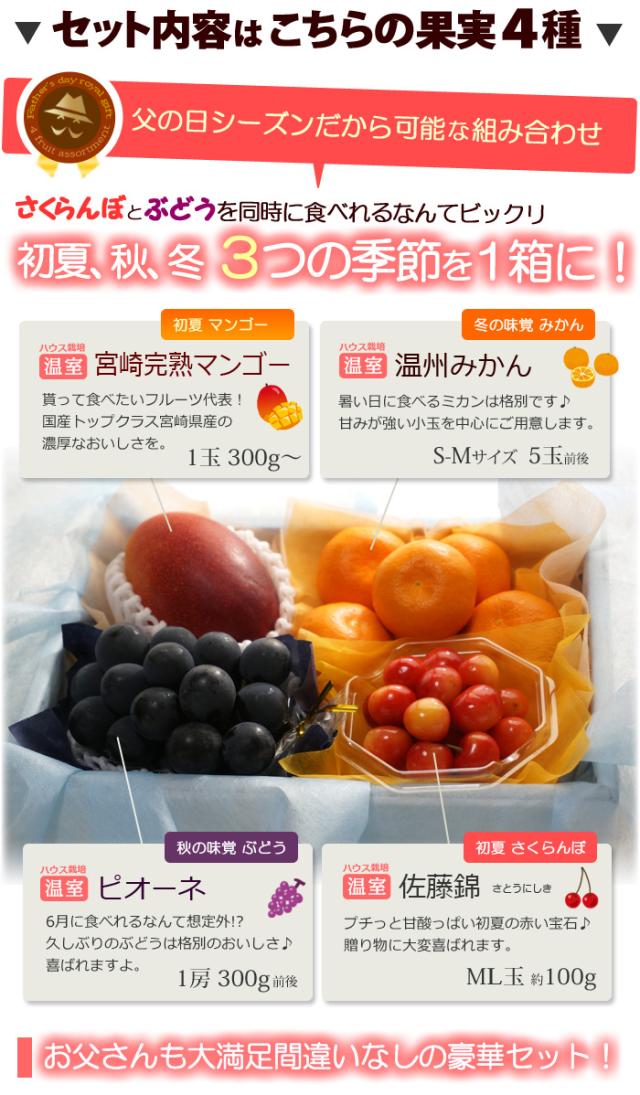 父の日ロイヤル（D）フルーツ詰め合わせセット内容詳細