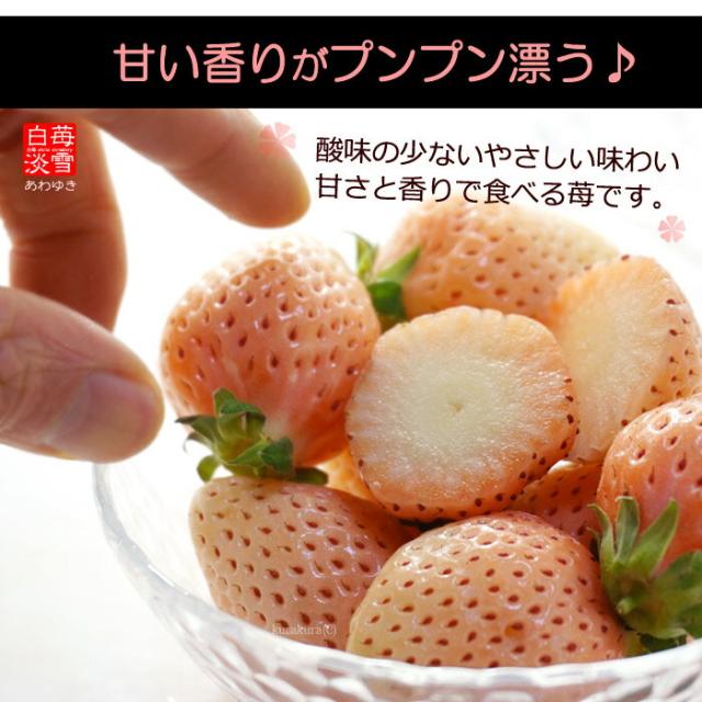 淡雪はやさしく上品な白イチゴ