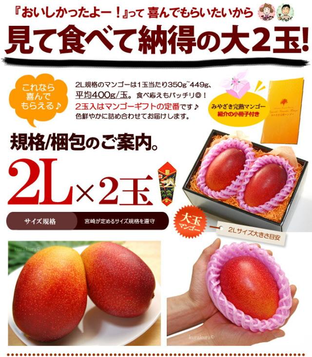 国内正規品 限定 お中元 宮崎マンゴー 2l 2玉 宮崎産 秀品 フルーツ夏ギフト マンゴー 食品 フルーツ 果物 マンゴー 御中元 ギフト 送料無料 プレミア商品 Carlavista Com