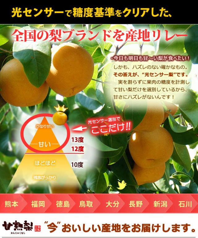 送料無料 早い者勝ち 甘熟幸水梨3l 5l 5kg 産地はお任せ 糖度12度以上の大玉幸水梨だけをお届け 食品 フルーツ 果物 和梨 幸水 送料無料 人気カラー再販 Arnabmobility Com